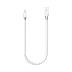 Charger USB Data Cable Charging Cord C06 for Apple iPad Mini 3 White