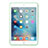 Ultra-thin Transparent Gel Soft Case for Apple iPad Mini 4 Green