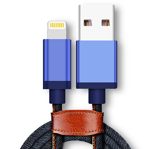 Charger USB Data Cable Charging Cord D01 for Apple iPhone 12 Mini Blue