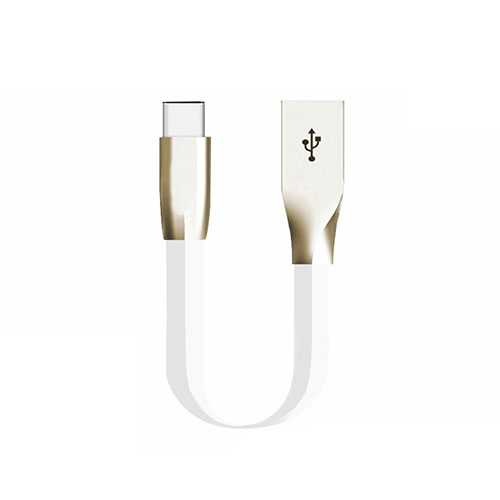 Type-C Charger USB Data Cable Charging Cord Android Universal 30cm S06 for Apple iPad Air 5 10.9 (2022) White