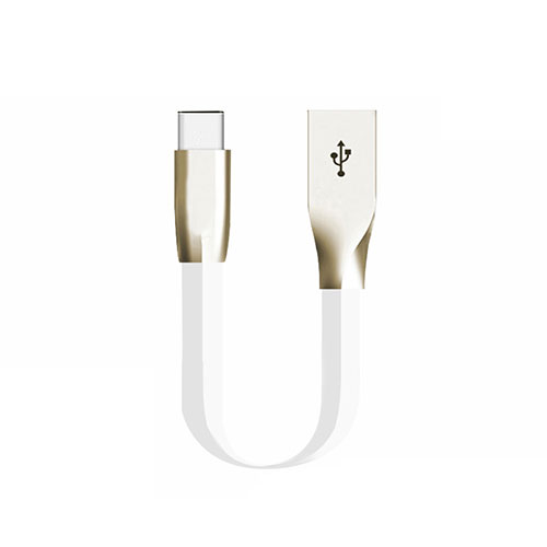 Type-C Charger USB Data Cable Charging Cord Android Universal 30cm S06 for Apple iPad Pro 12.9 (2021) White