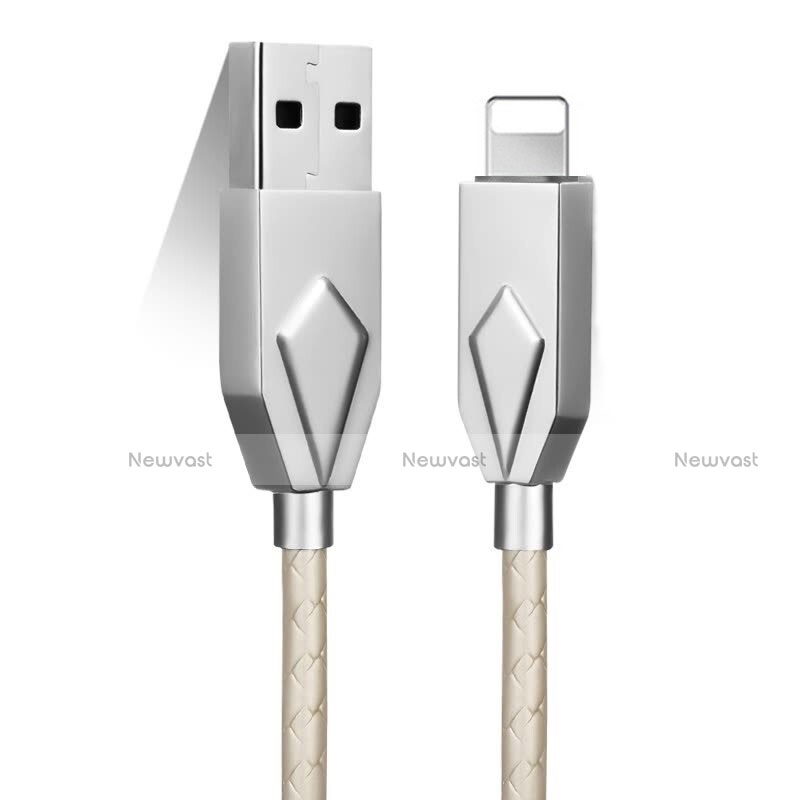 Charger USB Data Cable Charging Cord D13 for Apple iPad 3 Silver