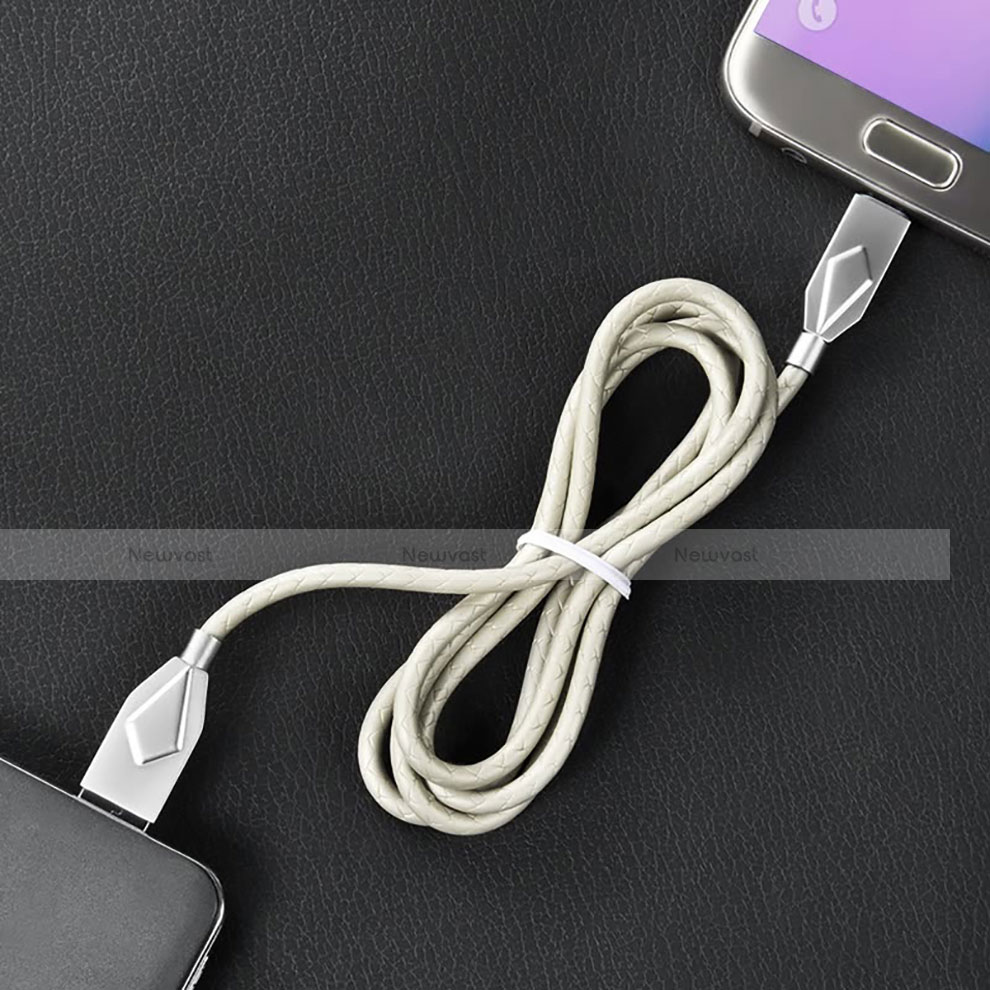 Charger USB Data Cable Charging Cord D13 for Apple iPad 3 Silver