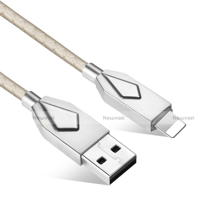 Charger USB Data Cable Charging Cord D13 for Apple iPad 4 Silver