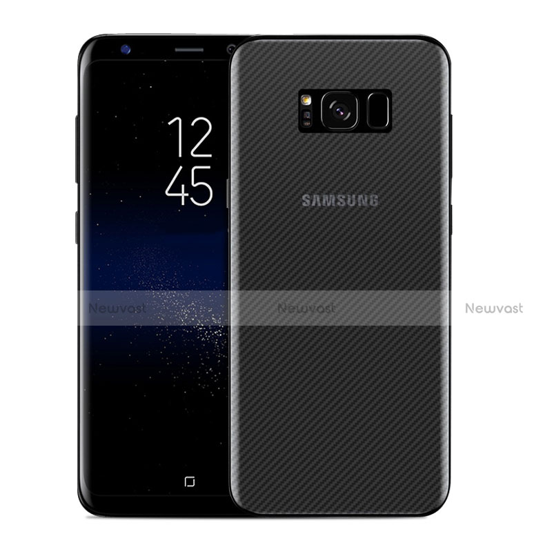 Film Back Protector B01 for Samsung Galaxy S8 Clear