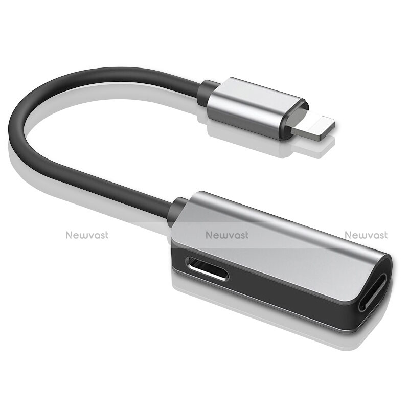 Lightning USB Cable Adapter H01 for Apple iPad 4 Silver