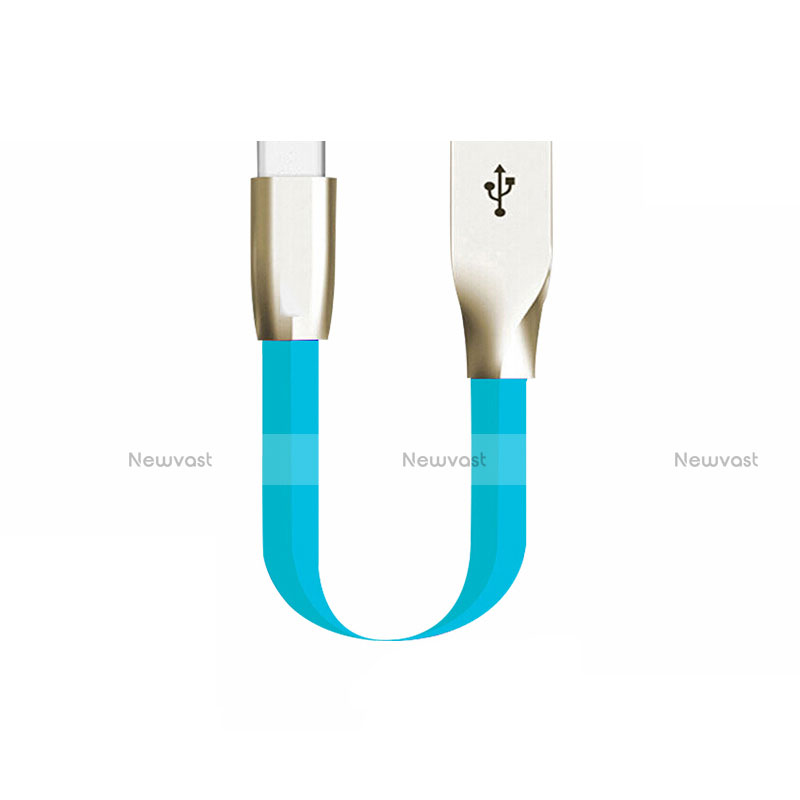 Type-C Charger USB Data Cable Charging Cord Android Universal 30cm S06 for Apple iPad Pro 12.9 (2021) Blue