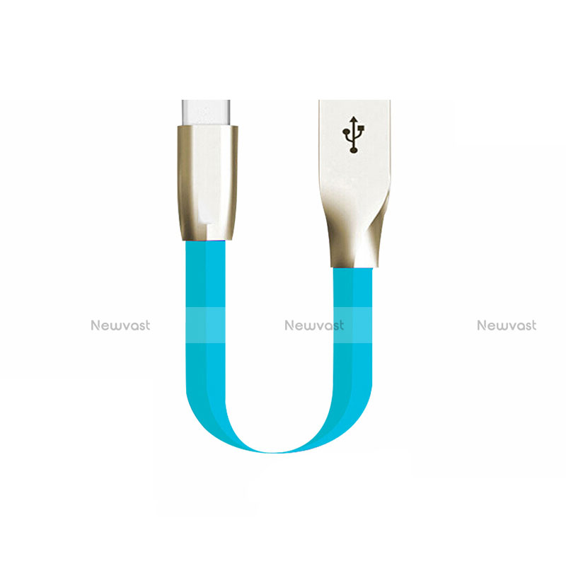 Type-C Charger USB Data Cable Charging Cord Android Universal 30cm S06 for Apple iPhone 15 Pro Blue